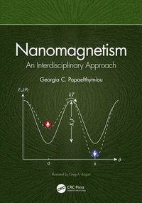 bokomslag Nanomagnetism