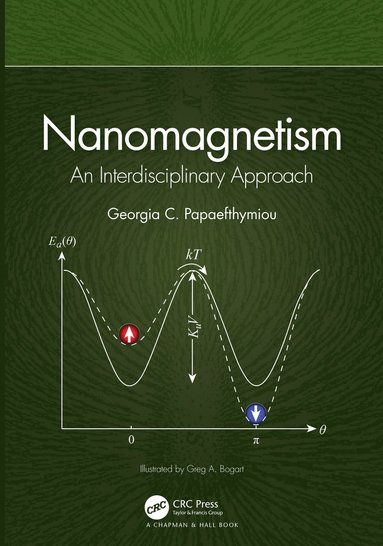 bokomslag Nanomagnetism