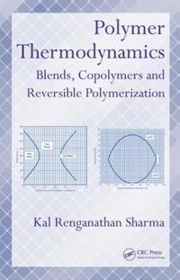 bokomslag Polymer Thermodynamics