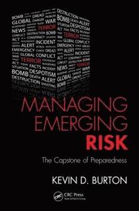 bokomslag Managing Emerging Risk