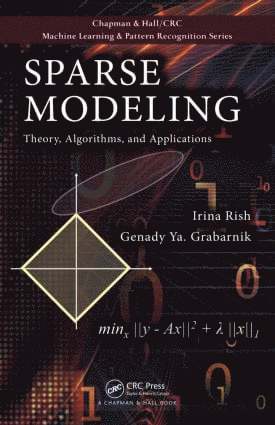Irina Rish, Genady Grabarnik - Sparse Modeling, Inbunden