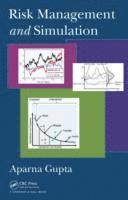 bokomslag Risk Management and Simulation