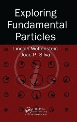 bokomslag Exploring Fundamental Particles