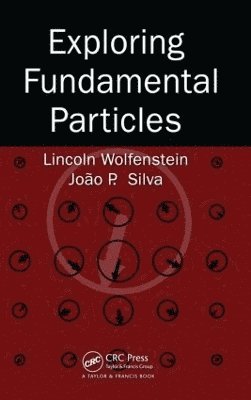 Exploring Fundamental Particles 1