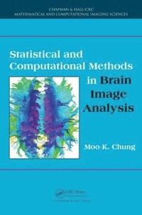 bokomslag Statistical and Computational Methods in Brain Image Analysis