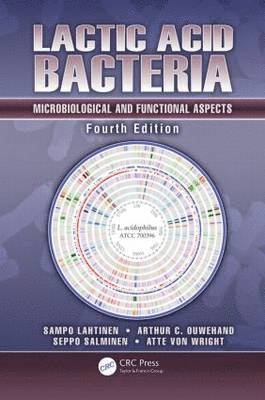 bokomslag Lactic Acid Bacteria