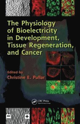 bokomslag Physiology of Bioelectricity in Development, Tissue Regeneration and Cancer