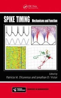 bokomslag Spike Timing