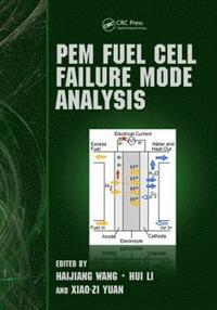 bokomslag PEM Fuel Cell Failure Mode Analysis