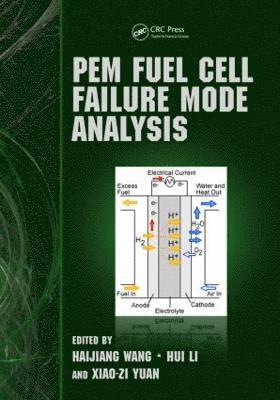 bokomslag PEM Fuel Cell Failure Mode Analysis