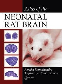 bokomslag Atlas of the Neonatal Rat Brain