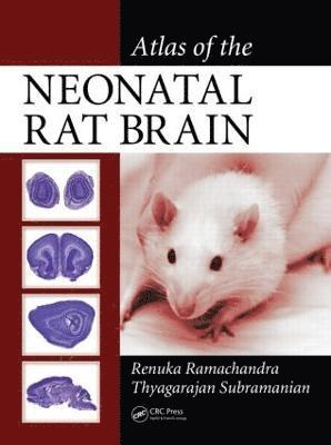 Atlas of the Neonatal Rat Brain 1