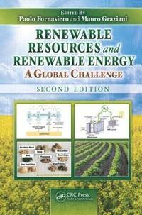 bokomslag Renewable Resources and Renewable Energy