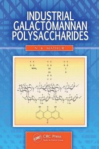 bokomslag Industrial Galactomannan Polysaccharides