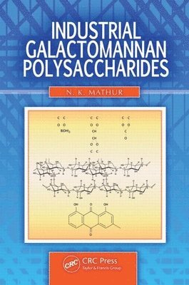 bokomslag Industrial Galactomannan Polysaccharides