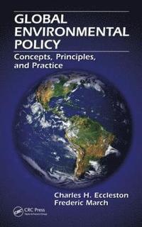 bokomslag Global Environmental Policy