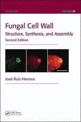 bokomslag Fungal Cell Wall