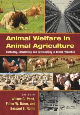 bokomslag Animal Welfare in Animal Agriculture