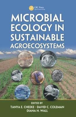 bokomslag Microbial Ecology in Sustainable Agroecosystems