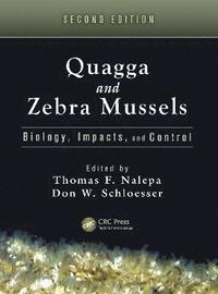 bokomslag Quagga and Zebra Mussels