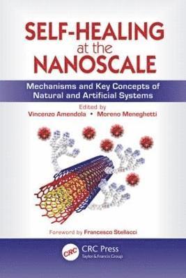 bokomslag Self-Healing at the Nanoscale