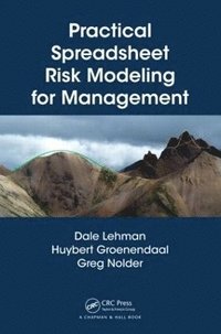 bokomslag Practical Spreadsheet Risk Modeling for Management