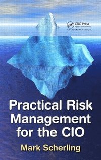 bokomslag Practical Risk Management for the CIO