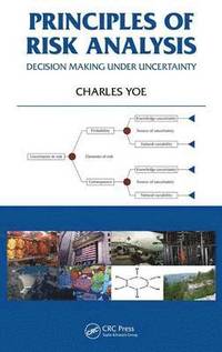 bokomslag Principles of Risk Analysis