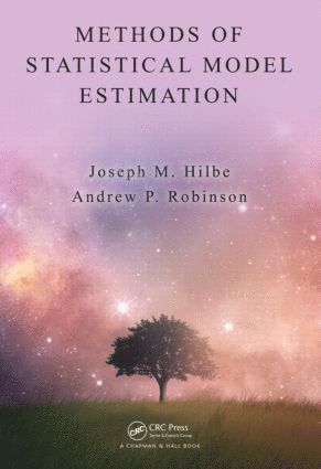 bokomslag Methods of Statistical Model Estimation