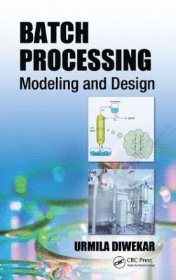 bokomslag Batch Processing