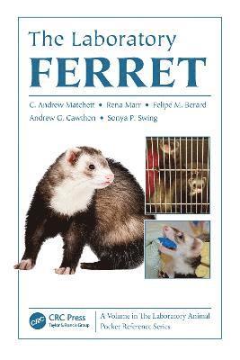 The Laboratory Ferret 1