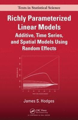 bokomslag Richly Parameterized Linear Models