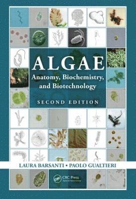 bokomslag Algae