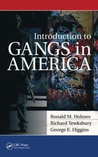 bokomslag Introduction to Gangs in America