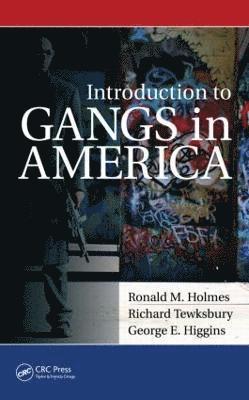 bokomslag Introduction to Gangs in America