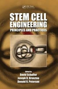 bokomslag Stem Cell Engineering