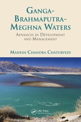 bokomslag Ganga-Brahmaputra-Meghna Waters