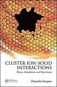 bokomslag Cluster Ion-Solid Interactions