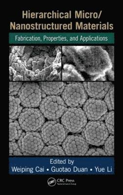 Hierarchical Micro/Nanostructured Materials 1