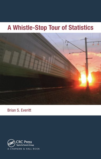 Brian Everitt - Whistle-Stop Tour of Statistics, Häftad