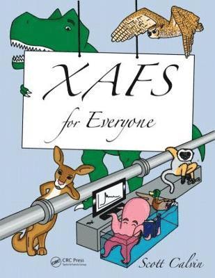 bokomslag Xafs for Everyone