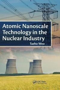 bokomslag Atomic Nanoscale Technology in the Nuclear Industry