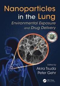 bokomslag Nanoparticles in the Lung