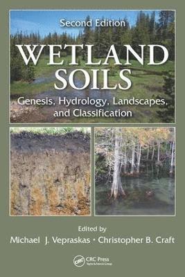 Wetland Soils 1