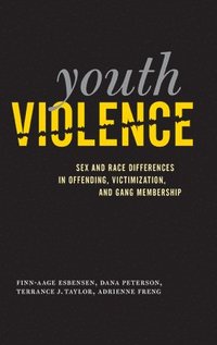 bokomslag Youth Violence
