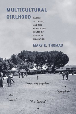 Mary E. Thomas, Mary E Thomas - Multicultural Girlhood, Inbunden