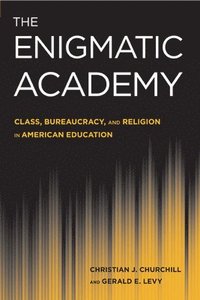 bokomslag The Enigmatic Academy