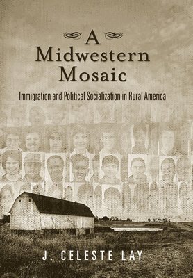 bokomslag Midwestern Mosaic