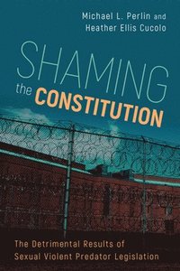 bokomslag Shaming the Constitution