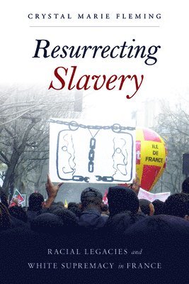 Crystal Marie Fleming - Resurrecting Slavery, Häftad